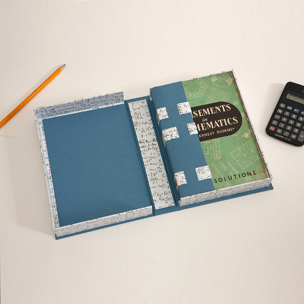 Amusements in Mathematics