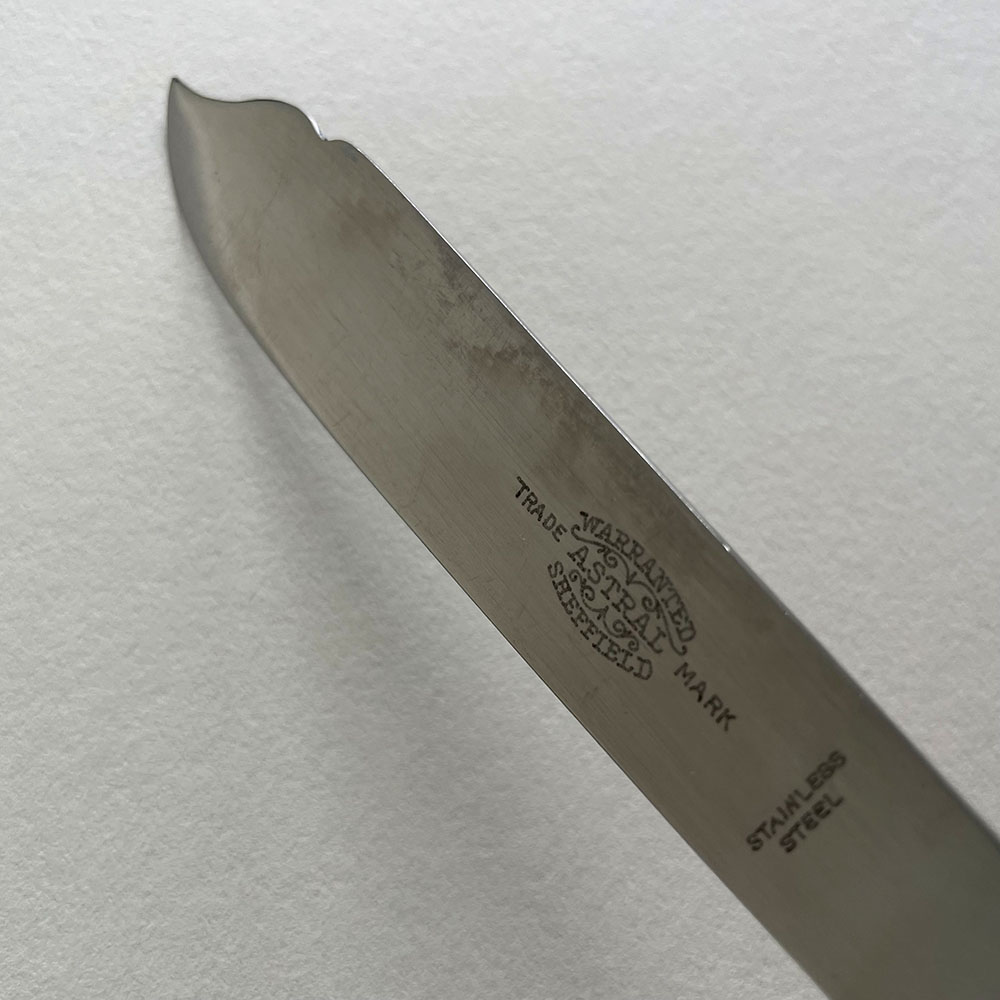 Spine scraper - Image 2